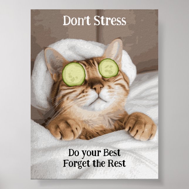 Motivational Funy Inspirational Cat Poster (Devant)