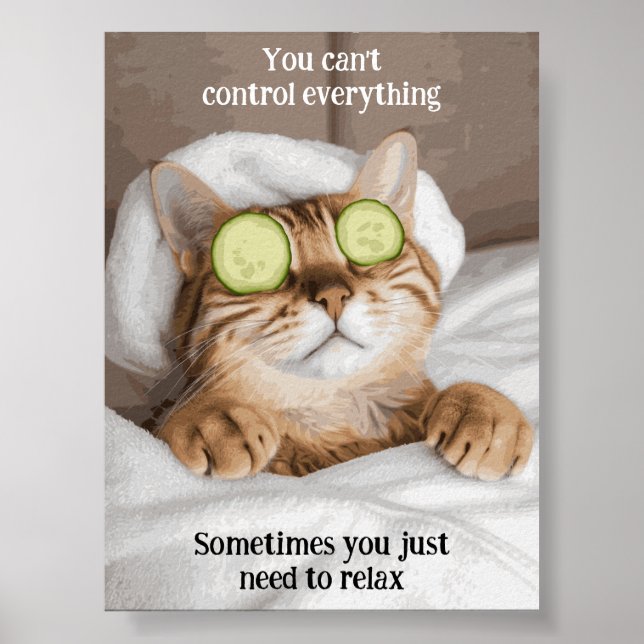 Motivational Funy Inspirational Cat Poster (Devant)