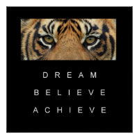 motivierend Angebot für Tigeraugen