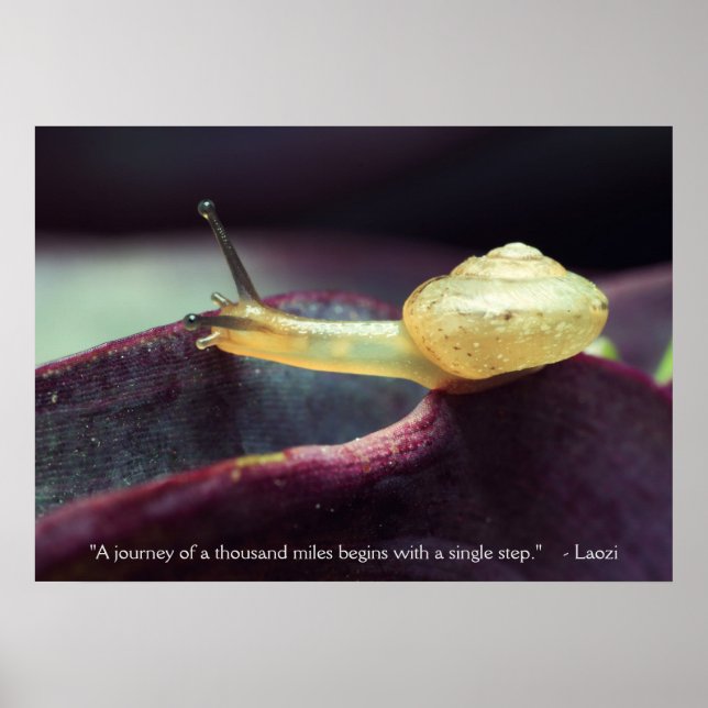 Motivierend Angebotsdauer Poster (Vorne)