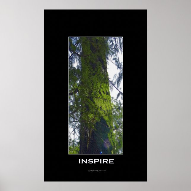 Motivierend Baumart-Poster-Leinwand inspiriert Poster (Vorne)