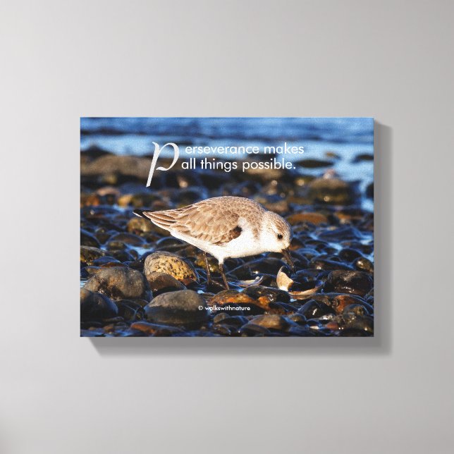 Motivierend "Beharrlichkeit macht ..." Sanderling Leinwanddruck (Vorderseite)