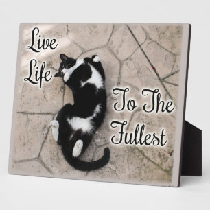 Motivierend Cat-Slogan-Zitat von Live to Fullest Fotoplatte
