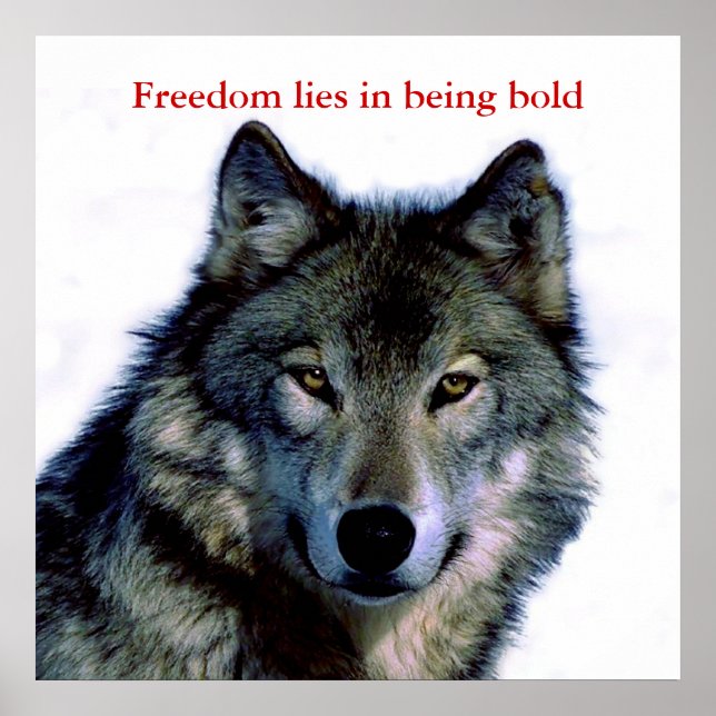Motivierend Courage Wolf Eyes Poster (Vorne)