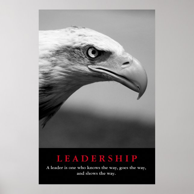Motivierend Führung bei Schwarz und Weißem Adler Poster (Vorne)