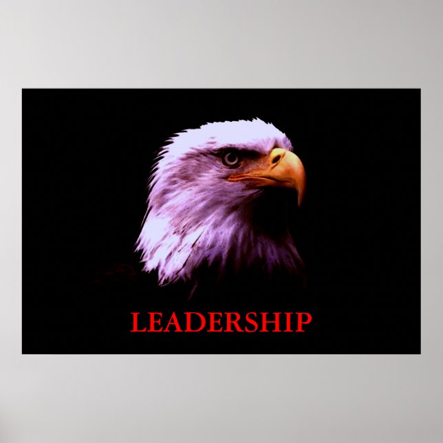Motivierend Führungsrolle Eagles Eyes Poster (Vorne)