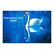 Motivierend Gedankenschwan Reflektion Blau & Weiß