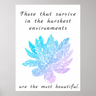motivierend Sukkularkunst blaues und rosa Poster