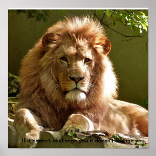 Motivierend Zitatposter von Lion Poster