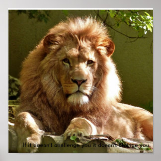 Motivierend Zitatposter von Lion Poster