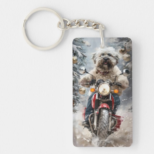 Moto à chiens Havanais Noël (Devant)