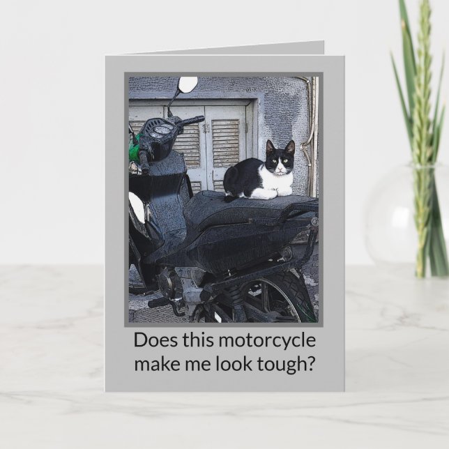 MOTOCYCLE CAT /HUMOUR (Devant)