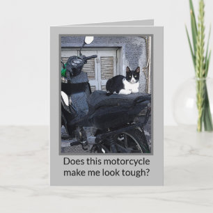 MOTORRAD KATZE /HUMOR