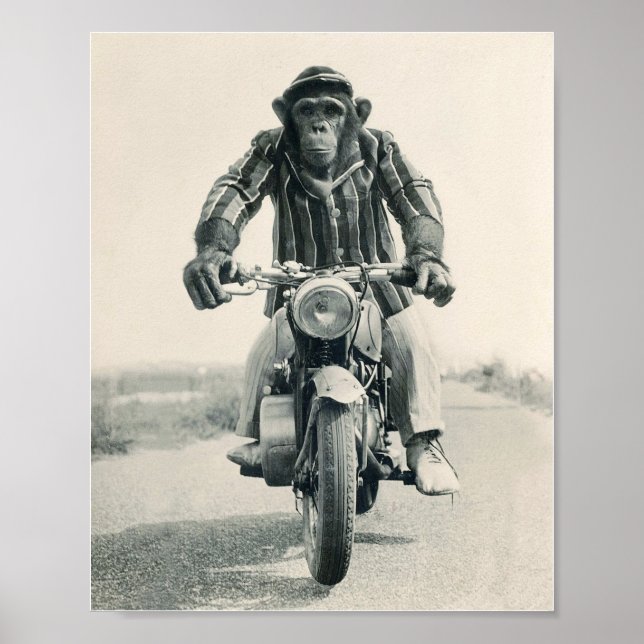 Motorradmonkey, Ape on Motorrad, Vintag Poster (Vorne)