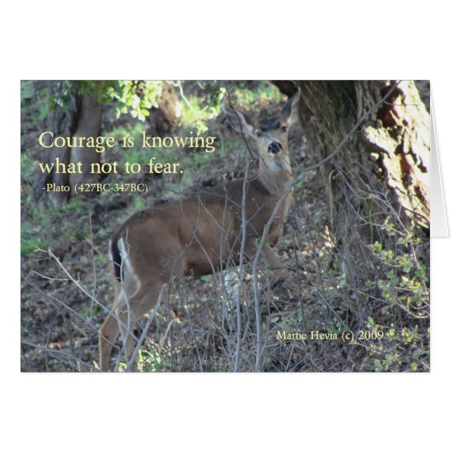 Mots célèbres : Courage - Carte de voeux de cerfs (Devant horizontal)