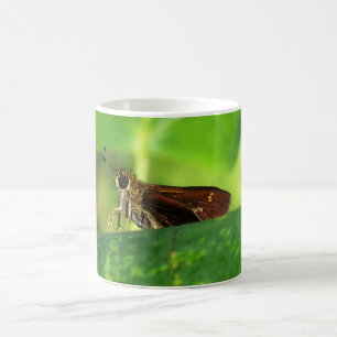 Motte auf Blatt 2 Kaffeetasse