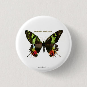 Motte: Madagascan Sonnenuntergang-Motte Button