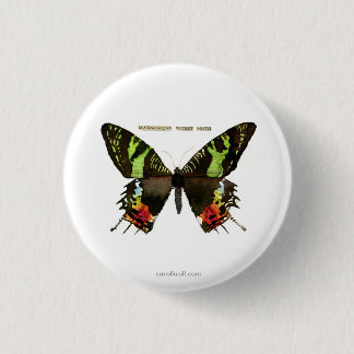 Motte: Madagascan Sonnenuntergang-Motte Button