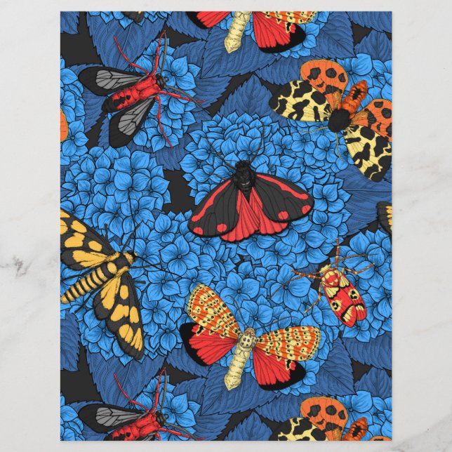 Motten auf blauem Hydrangea (Vorderseite)