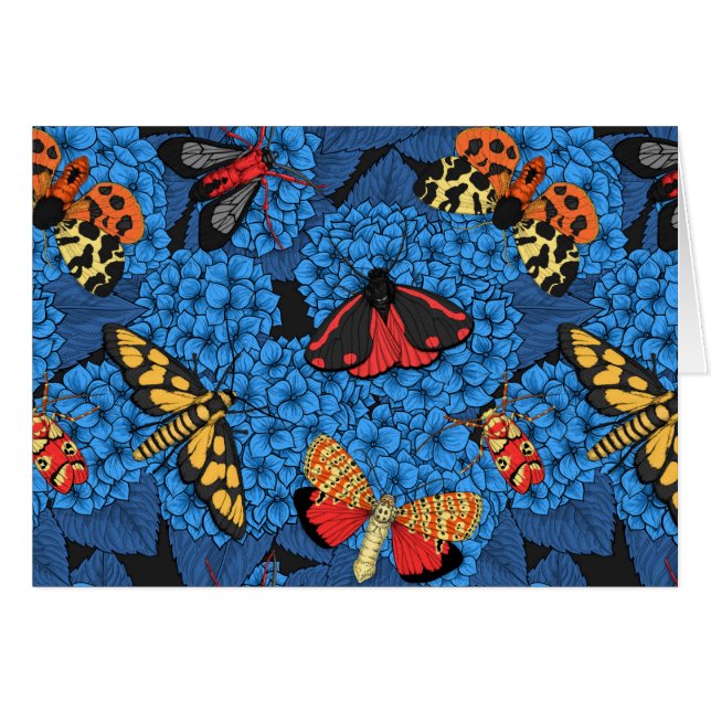 Motten auf blauem Hydrangea (Vorderseite (Horizontal))
