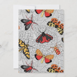 Motten auf Hydrangea