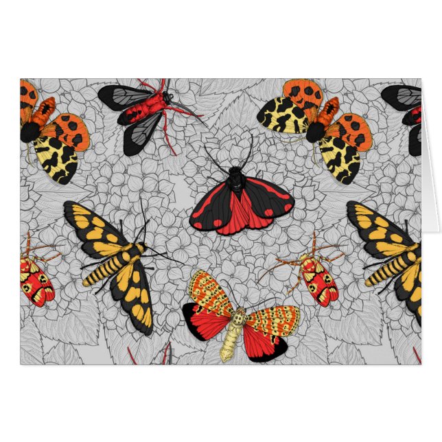 Motten auf Hydrangea (Vorderseite (Horizontal))