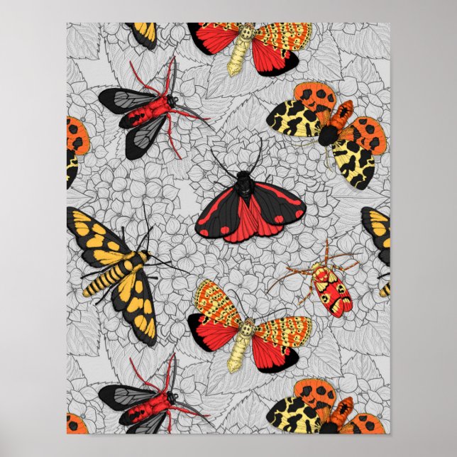 Motten auf Hydrangea Poster (Vorne)
