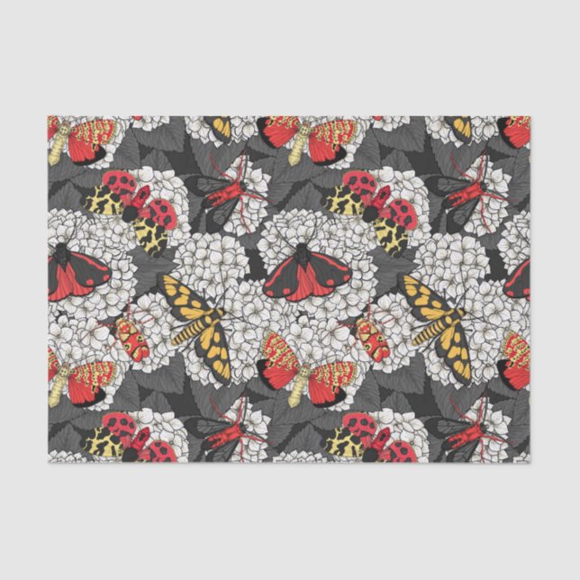 Motten auf weißem Hydrangea Seidenpapier (Vorderseite)