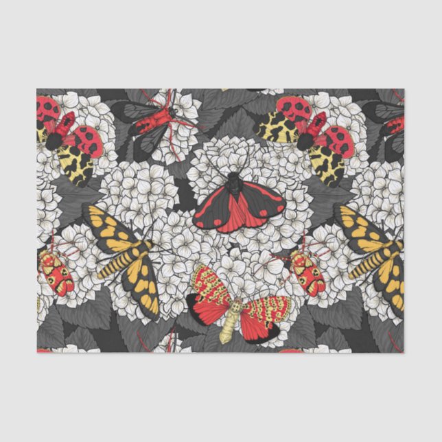 Motten auf weißem Hydrangea Seidenpapier (Vorderseite)