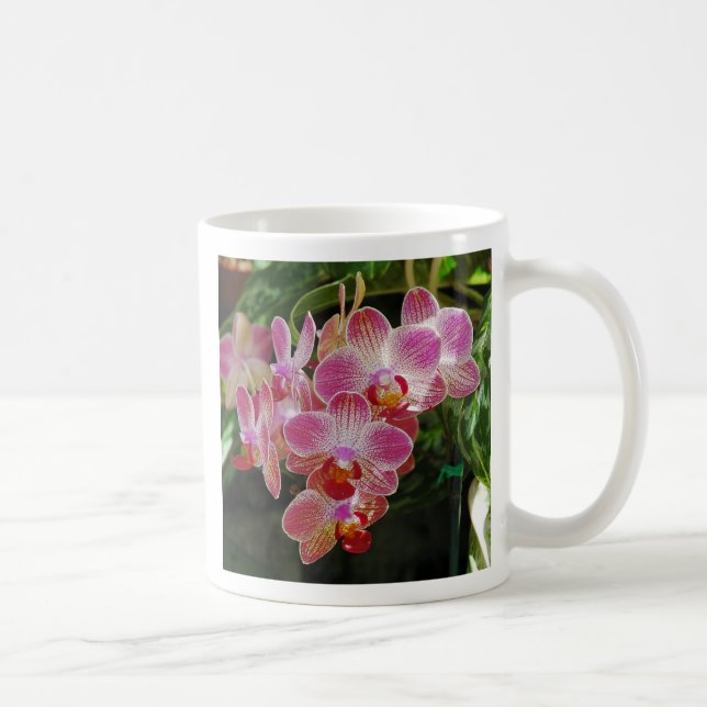 Motten-Orchideen-Tasse Kaffeetasse (Rechts)