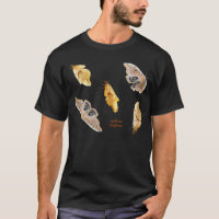 Motten-Shirt