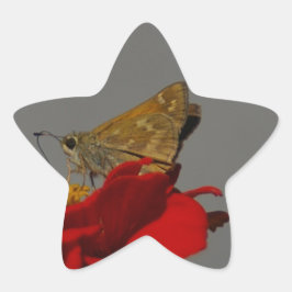 Motten und Rotes Zinnia Stern-Aufkleber