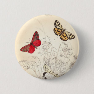 Motten und Schmetterlinge Button