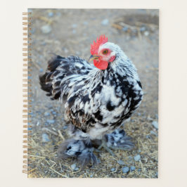 Mottles Bantam Cochin Chicken Notebook Journal Planer