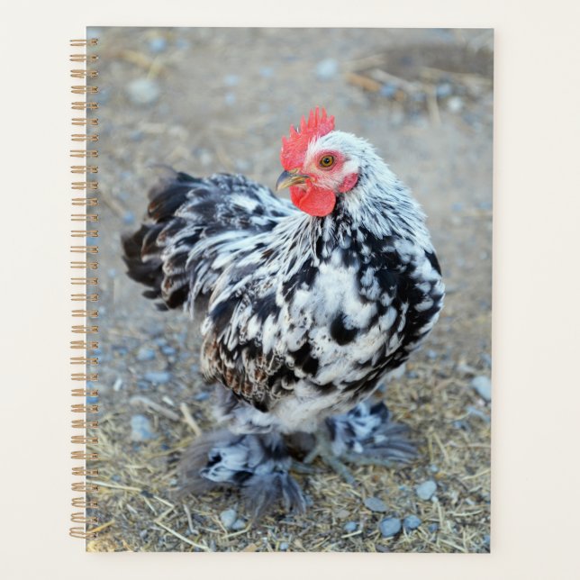 Mottles Bantam Cochin Chicken Notebook Journal Planer (Vorderseite)
