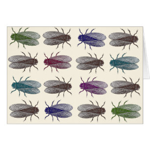 Mouches/mouches à fruit de l'encyclopédie de