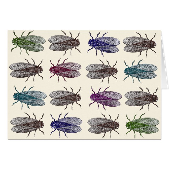 Mouches/mouches à fruit de l'encyclopédie de (Devant horizontal)