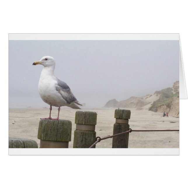 Mouette (Devant horizontal)