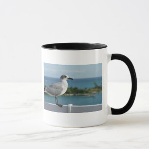 Mouette dans la tasse de paradis