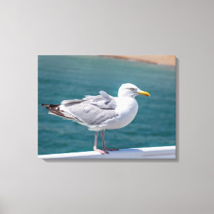 Mouette de mer sur les balustrades vue impression 