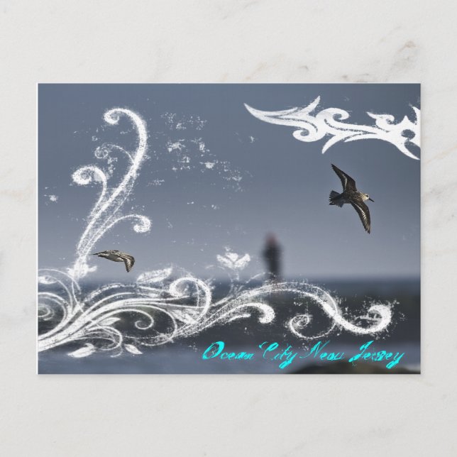 Mouette en vol carte postale (Devant)