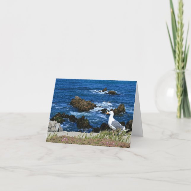 Mouette marine sur la côte du Pacifique, carte à b (Devant)