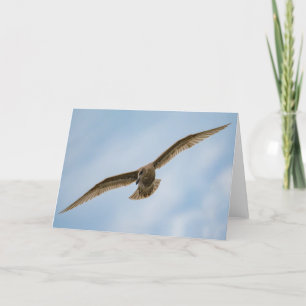 Mouette - Oiseau en vol Carte de remerciements