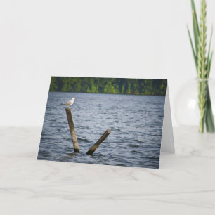 Mouette sur la carte de voeux de courrier