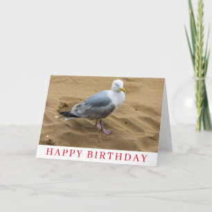 Mouette sur une carte d'anniversaire de plage de s