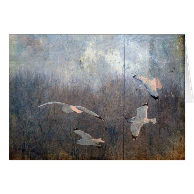 Mouettes (Devant horizontal)