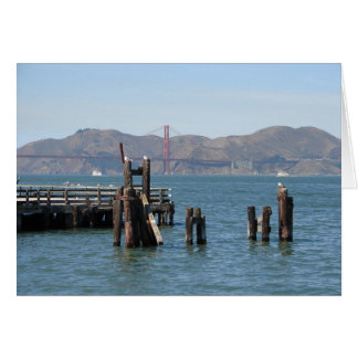 Mouettes à la jetée de la baie de San Francisco