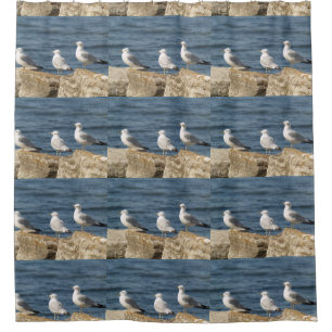 Mouettes de mer sur rochers rideau de douche
