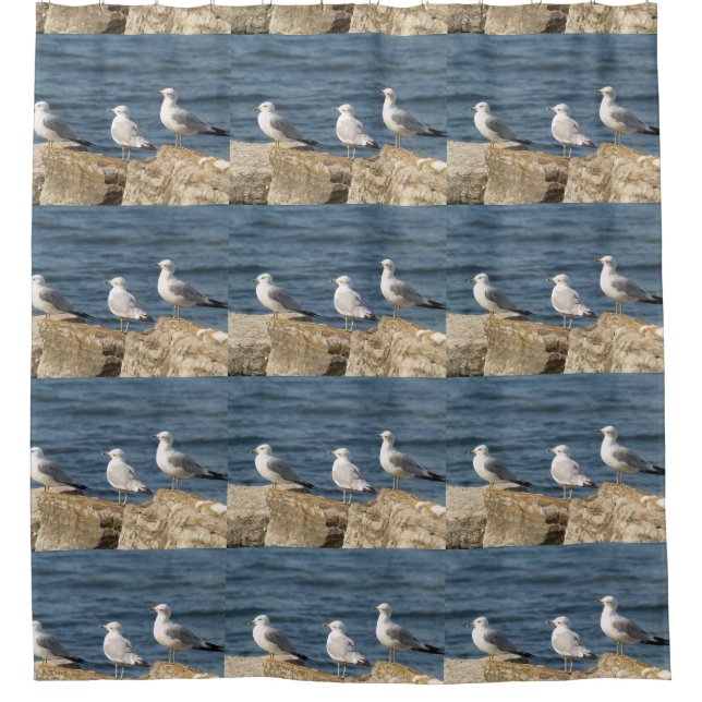 Mouettes de mer sur rochers rideau de douche (Devant)