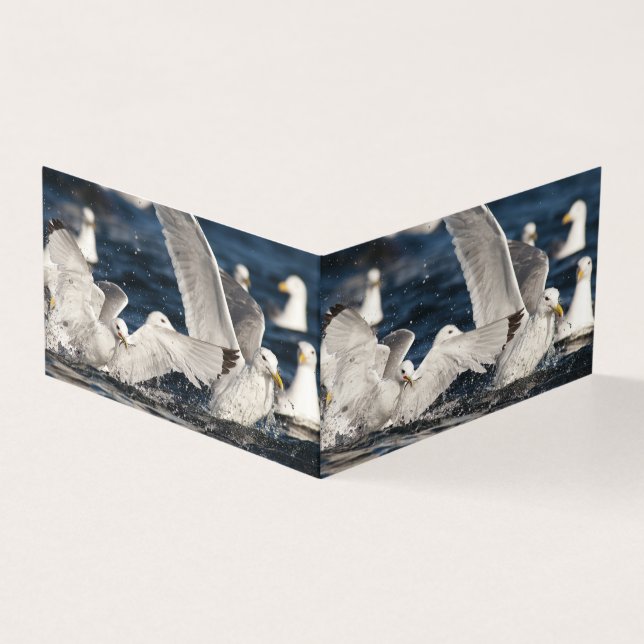 Mouettes émergentes (Outside)